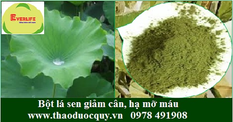 Bột lá sen Bột lá sen