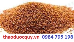 Hạt Đình Lịch/ Hạt Ngũ Hoa - Trị Mụn Hạt Đình Lịch/ Hạt Ngũ Hoa - Trị Mụn
