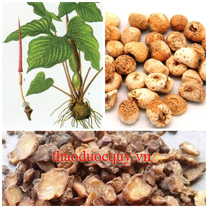 Tam Bộ Khiêu