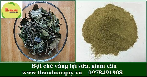 Bột chè vằng - lợi sữa, giảm cân Bột chè vằng - lợi sữa, giảm cân