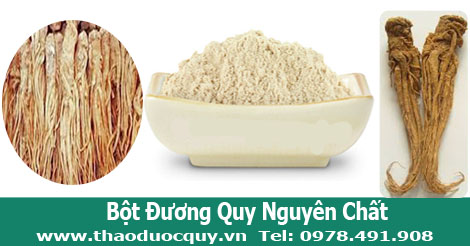 BỘT ĐƯƠNG QUY BỘT ĐƯƠNG QUY