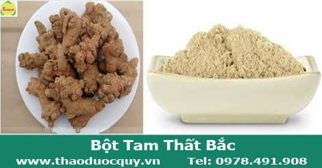 Bột Tam Thất Bắc Bột Tam Thất Bắc