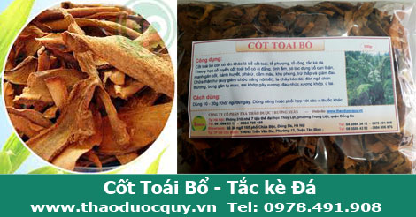 Cốt Toái Bổ - Bổ Thận - Mạnh Gân Xương Cốt Toái Bổ - Bổ Thận - Mạnh Gân Xương