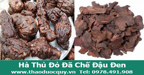 Hà Thủ Ô Đỏ Sapa - Đã Chế Với Đậu Đen Hà Thủ Ô Đỏ Sapa - Đã Chế Với Đậu Đen