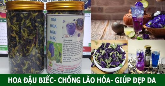TRÀ HOA ĐẬU BIẾC TRÀ HOA ĐẬU BIẾC