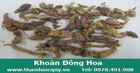 Khoản đông hoa Khoản đông hoa