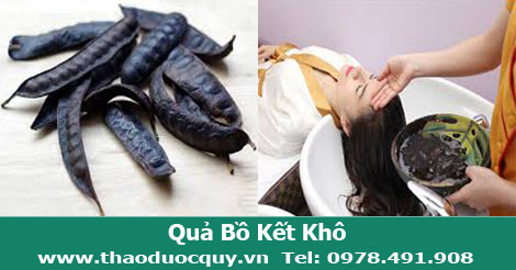 Quả Bồ Kết Khô Quả Bồ Kết Khô