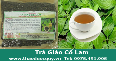 Trà Giảo Cổ Lam sấy khô Trà Giảo Cổ Lam sấy khô