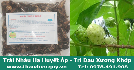 Trái nhàu khô Trái nhàu khô