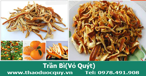 Trần bì| Vỏ Quýt| Vỏ Cam Trần bì| Vỏ Quýt| Vỏ Cam