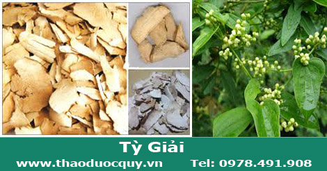 Tỳ giải Tỳ giải