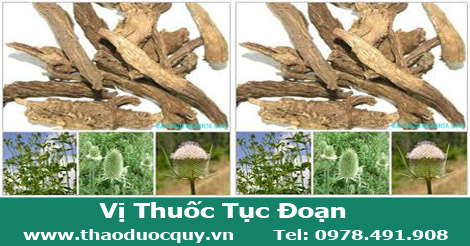 Tục đoạn Tục đoạn