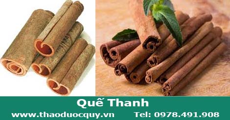 Quế thanh là vò già của thân cấy quế cụng thành từng thanh